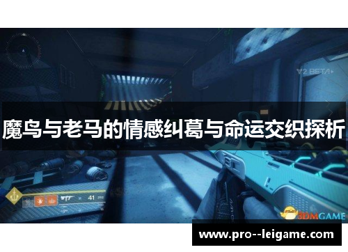 魔鸟与老马的情感纠葛与命运交织探析 魔鸟与老马的情感纠葛与命运交织探析